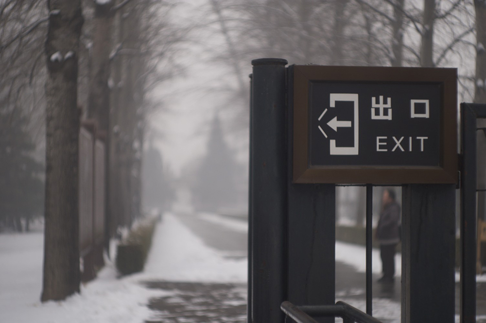 文化の磁力は交わって艶やかな色彩を生み出す4(シュタインハイル